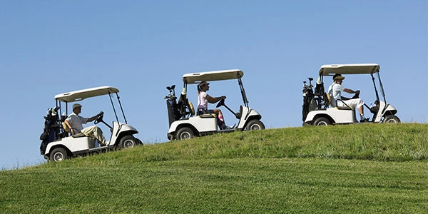 Cartas lined up on a hill